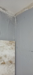 scaled IMG20250117092857